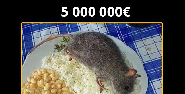 Dáš to?