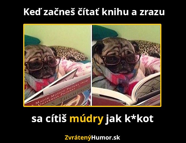 mudry