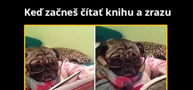 Sila knihy
