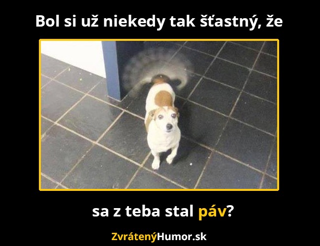 pav