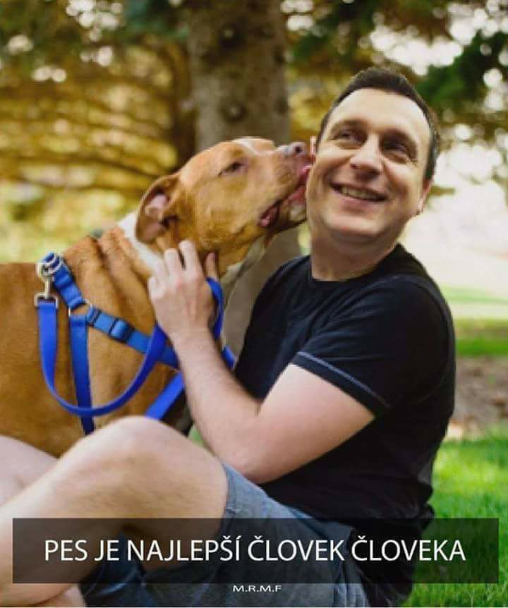 qqq15