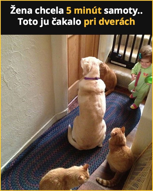 rodicovske-meme1