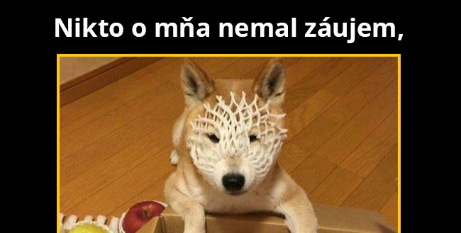 Superhrdina