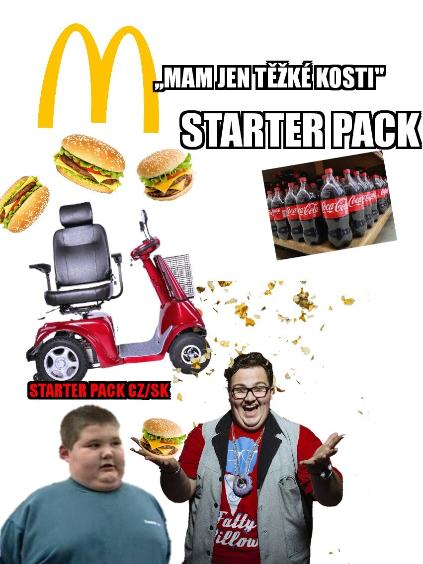 starter3