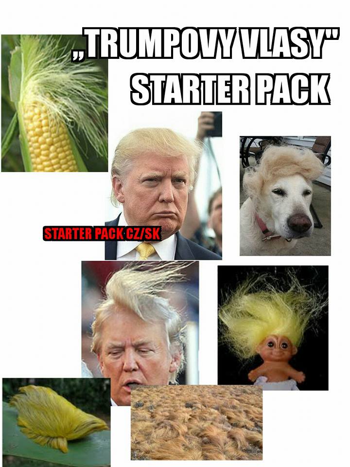 starter5
