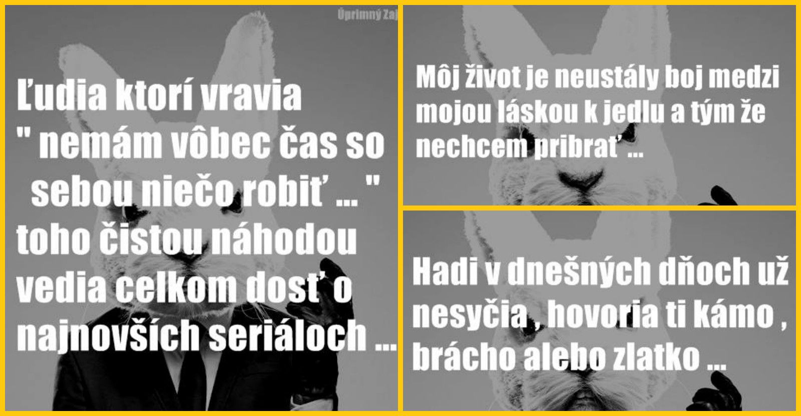 25 výrokov od úprimného zaja vás zaručene pobaví #3