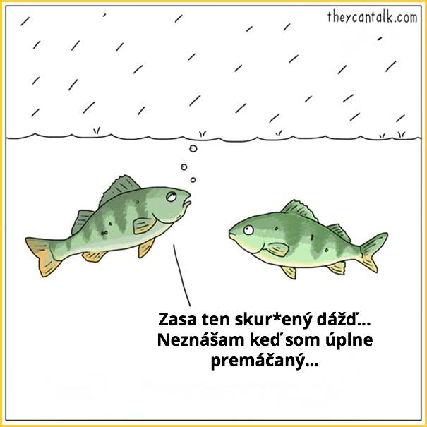 zvieratka7