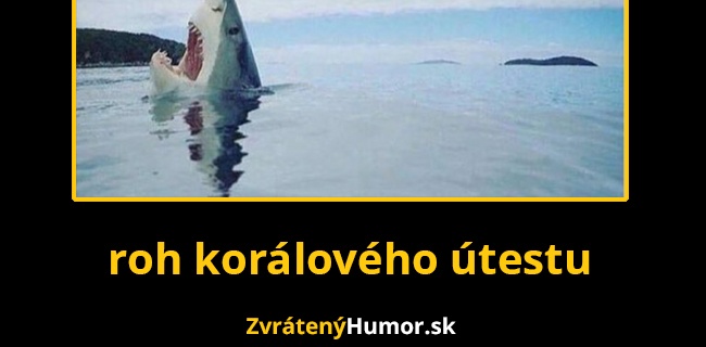 To muselo bolieť