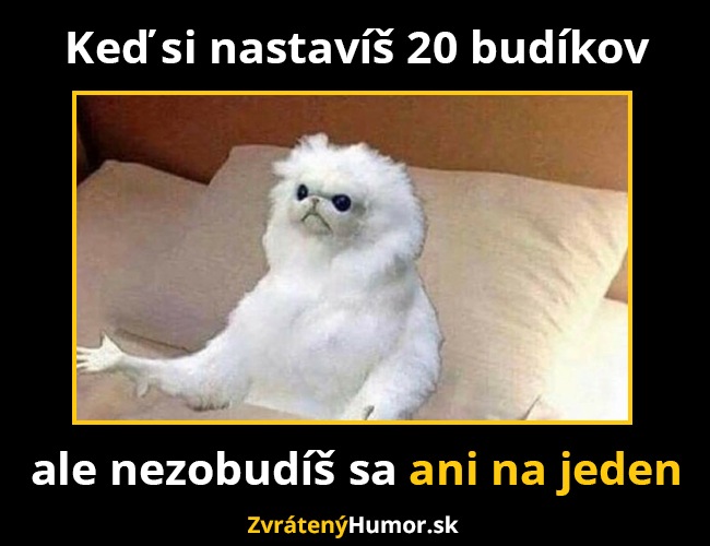 budickc