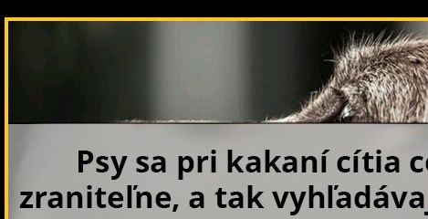 Chvíľka ticha