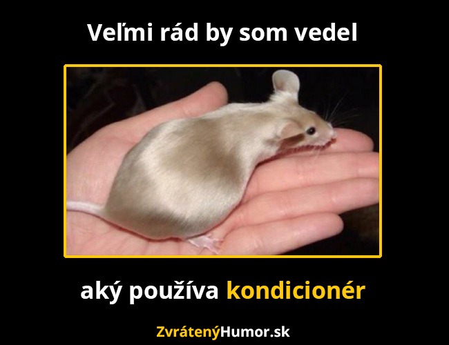 kondici