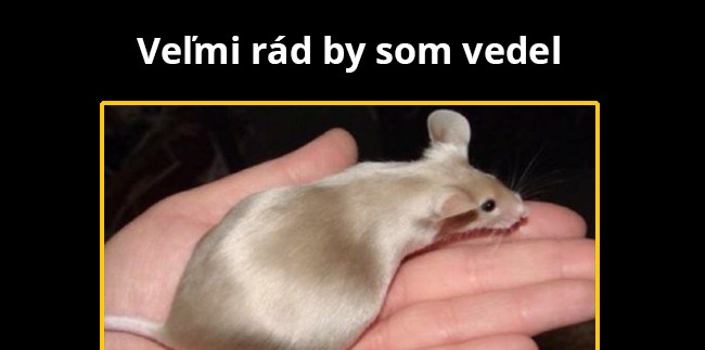 Krásna srsť