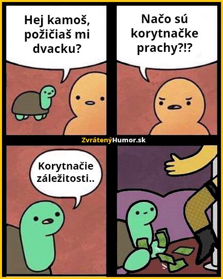 korytnacka