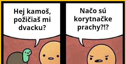 Korytnačie záležitosti