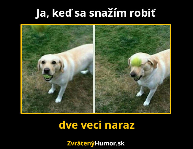 naraz