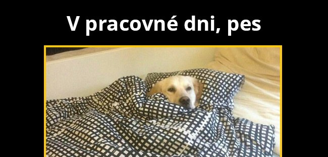 To by šlo