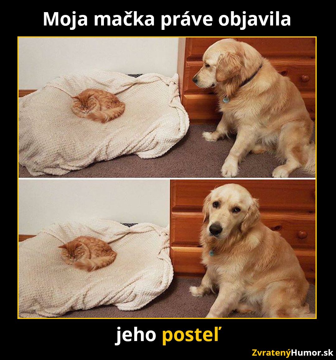 postel