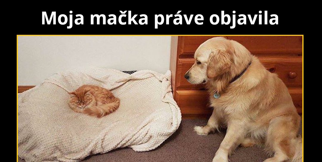 A bude zle