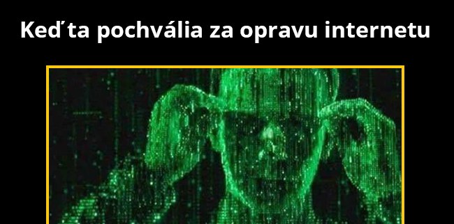 IT profík