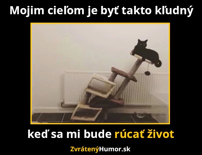 rucat