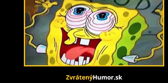 Predsavzatia…