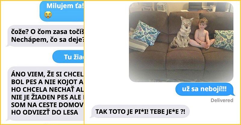 Manželka napísala manželovi, že našla zatúlaného psa zatiaľ čo na fotke je kojot…jeho reakcie vás pobavia!