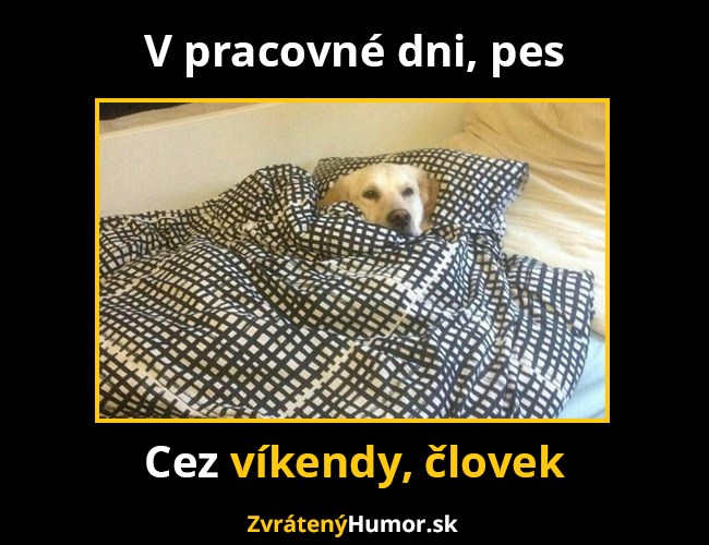 ziot