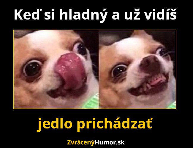 jedlo