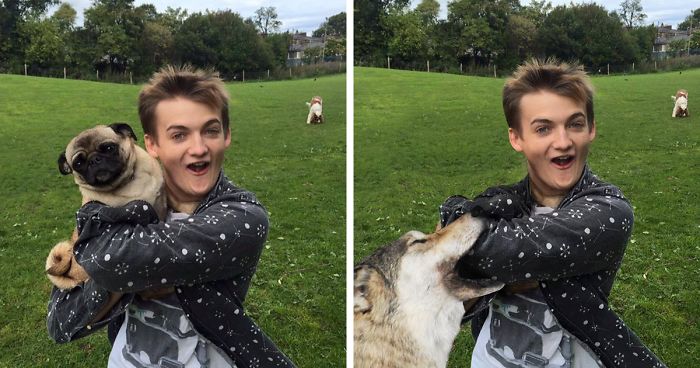 20 Obrázkov: Kráľ Joffrey, ktorý objíma mopslíka sa stal ďalšou obeťou Photoshopu