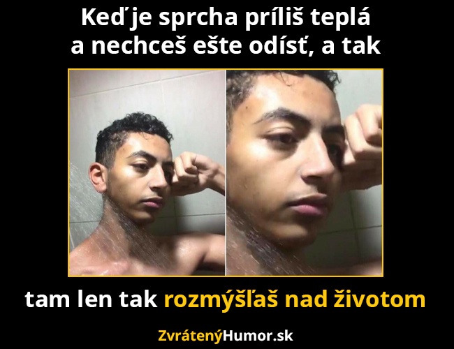 rozmyslal