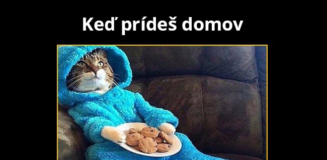 Konečne doma