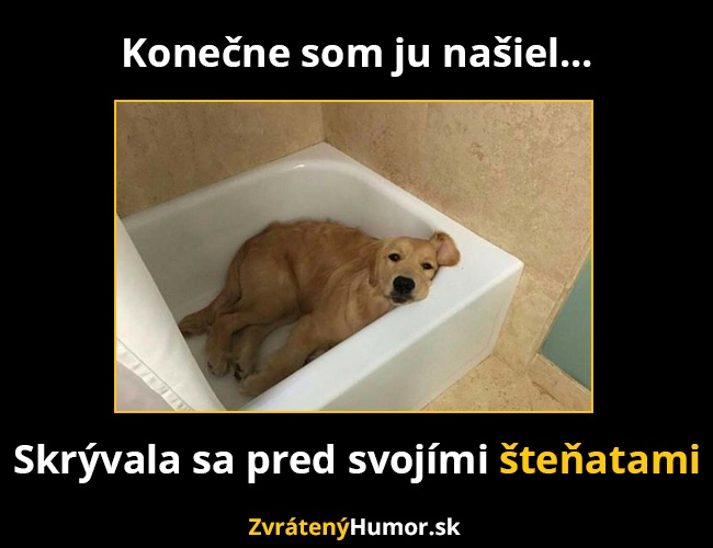 stene