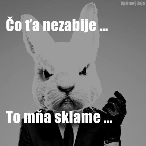 zajac13