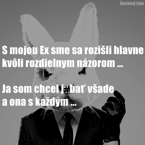 zajac3