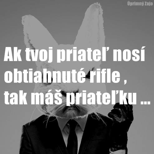 zajac8