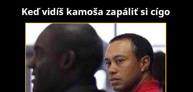 Ty čorka