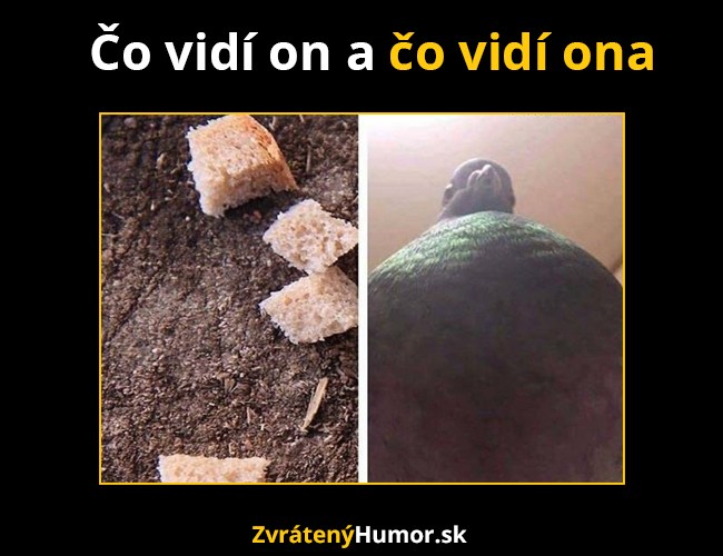 covidi