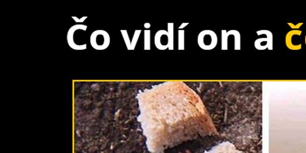 To by sa mi páčilo