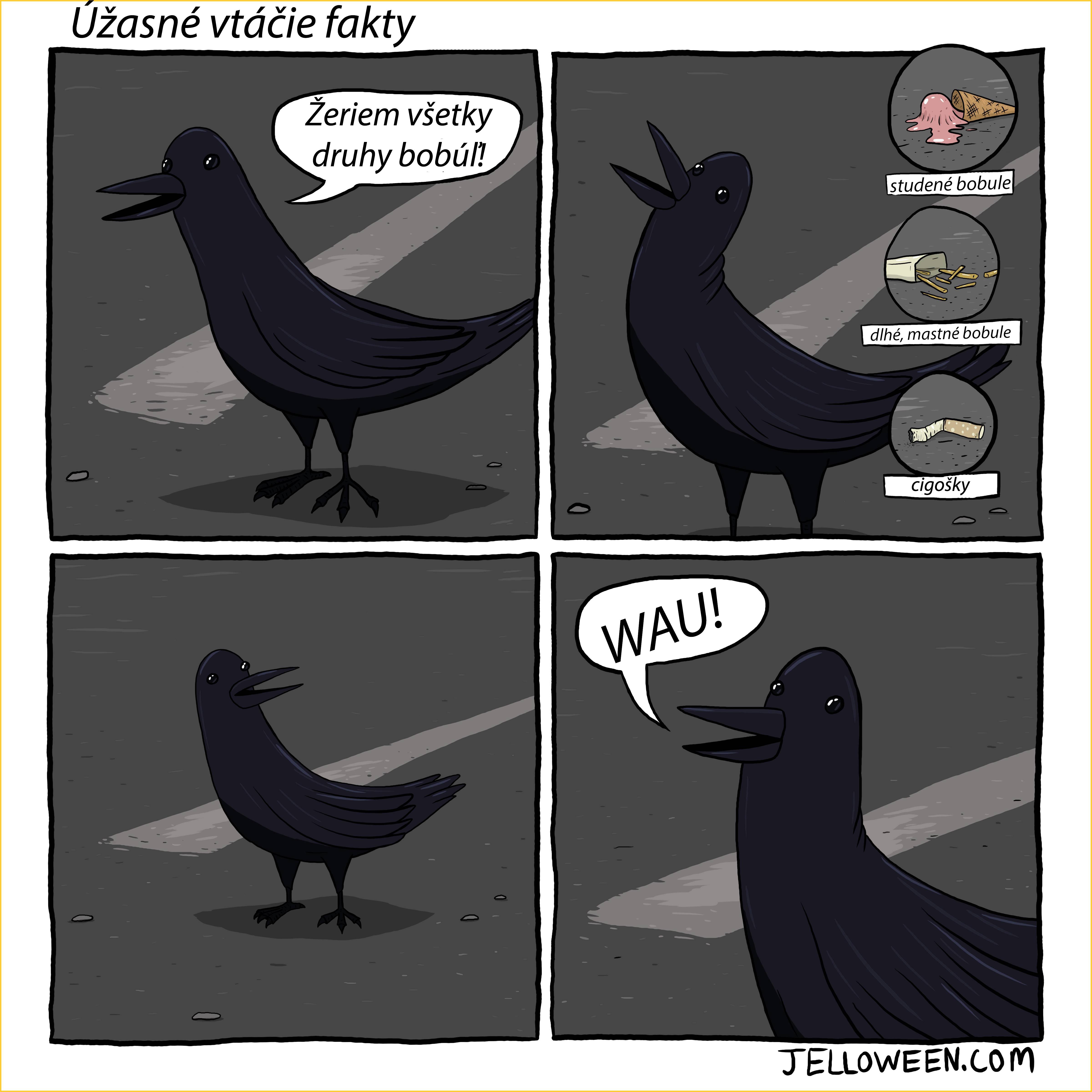 fakty1