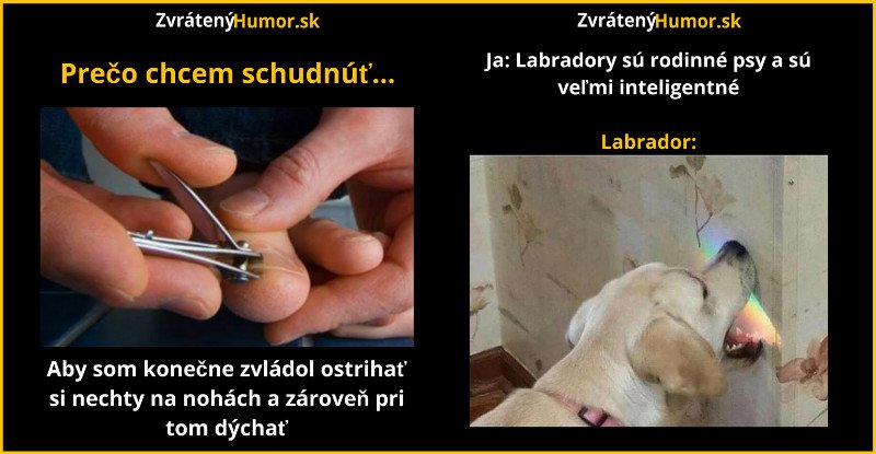 Zopár memečiek, ktoré vznikli aby ti spríjemnili dnešný deň #11