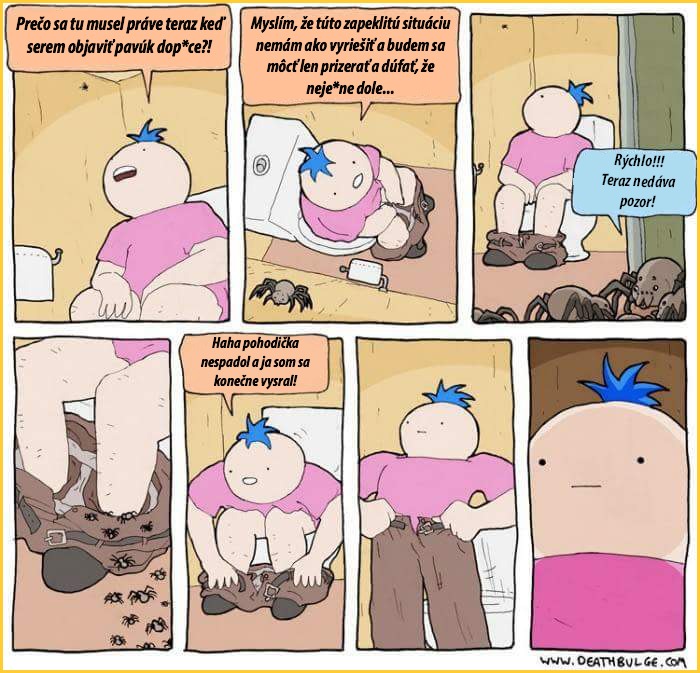 pavuci1