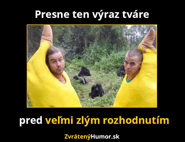 rozhod