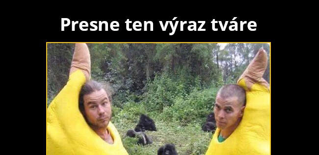 Banániky