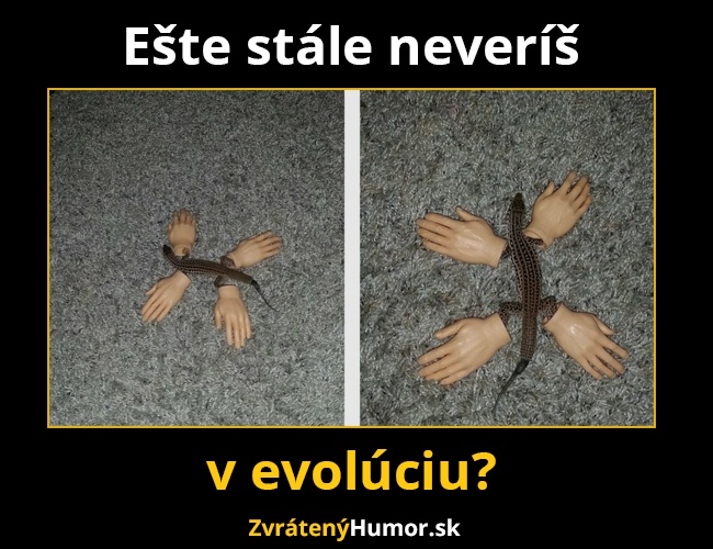 evolucia