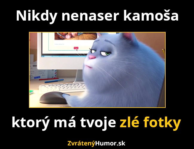 kamosa
