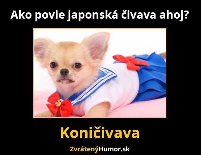 koniciva