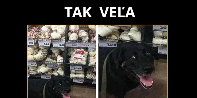 Happy face doggo