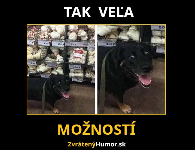 moznosti