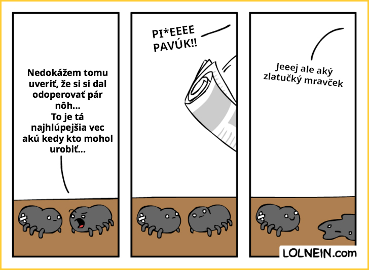 pavuk1