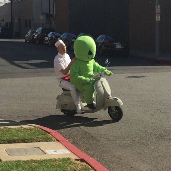 85442891